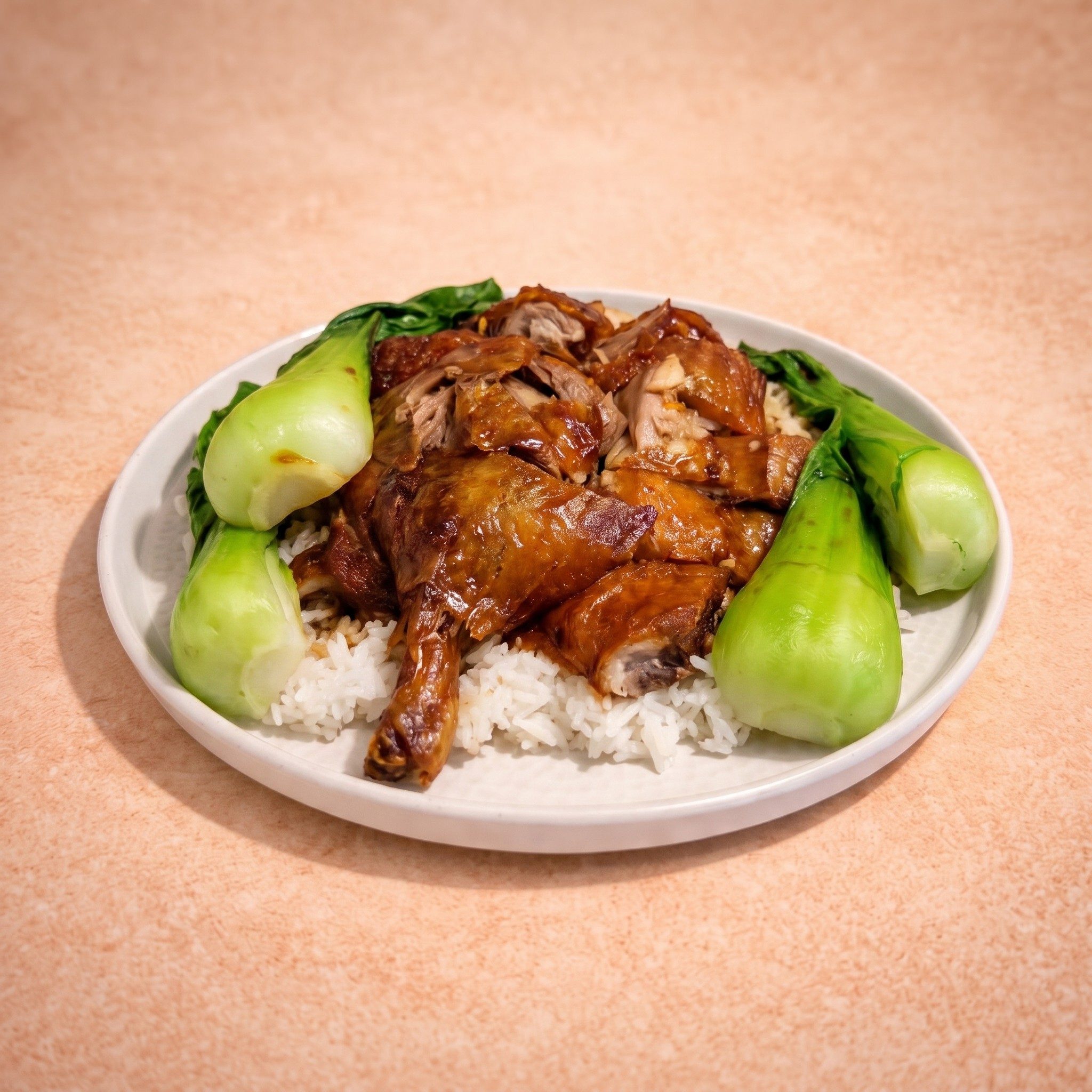 Roast Duck Over Steamed Rice (燒鴨燴飯).