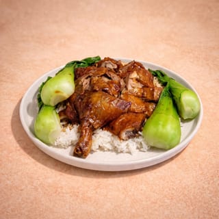 Roast Duck Over Steamed Rice (燒鴨燴飯)